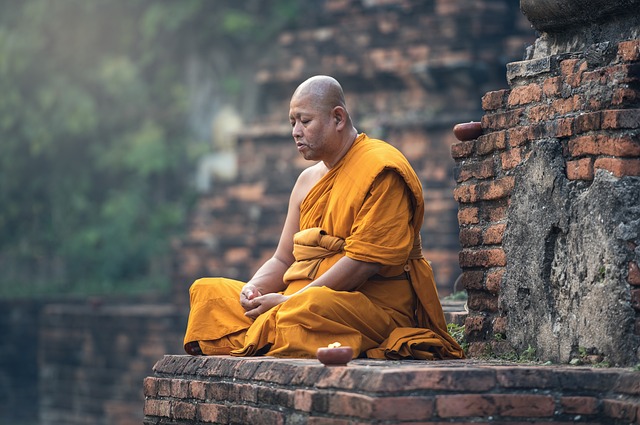 Sasin Tipchai – https://pixabay.com/photos/buddhist-monk-sitting-meditation-1807526/